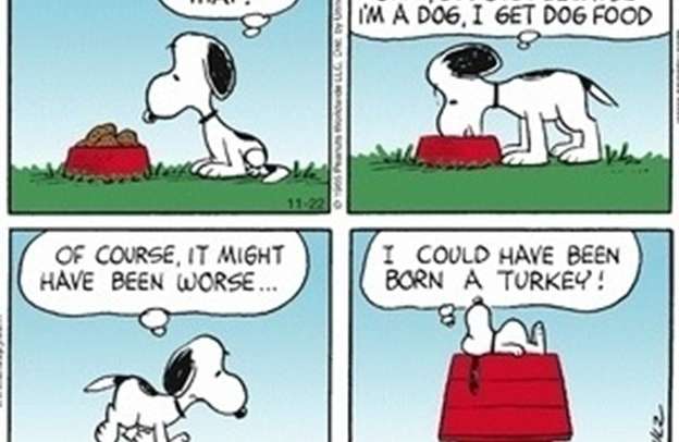 The Power of Thanksgiving