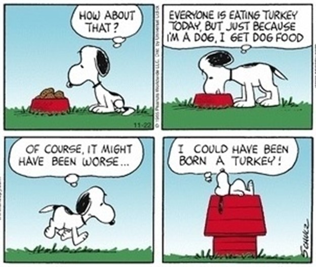 The Power of Thanksgiving